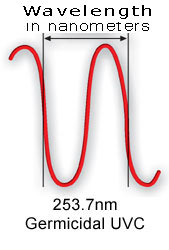 UV Disinfection Wavelength - Germicidal Ultraviolet